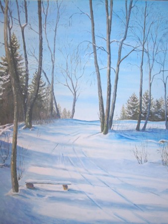 La piste de ski de fond 